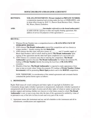 Brand Ambassador Contract - Fill Online, Printable, Fillable, Blank ...
