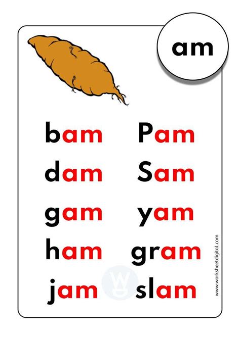 Cvc Words With Am at Lee Porter blog