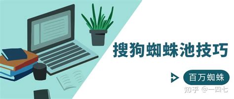 2019更新小霸王SEO蜘蛛池站群v6.3模板+安装教程-Test玩站网
