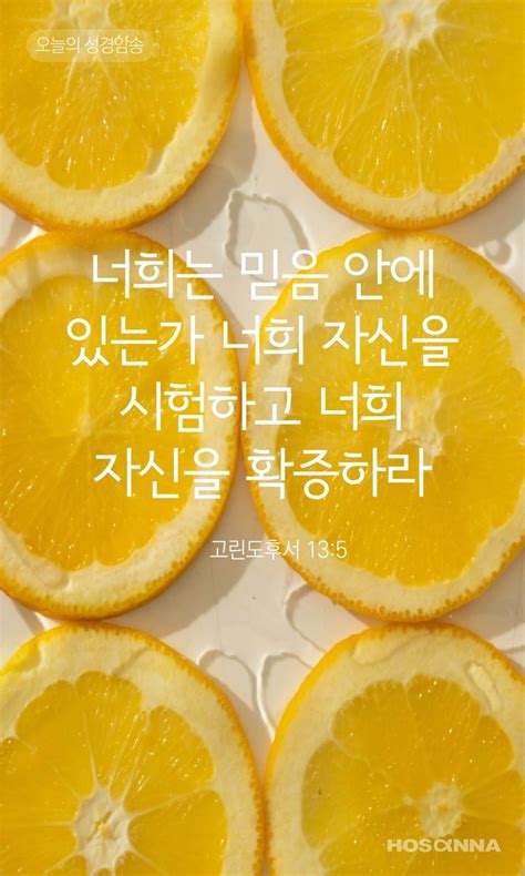 하모나장로교회