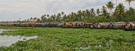 Kochi (Cochin), Indien - Reise-Tipps für einen spannenden Urlaub