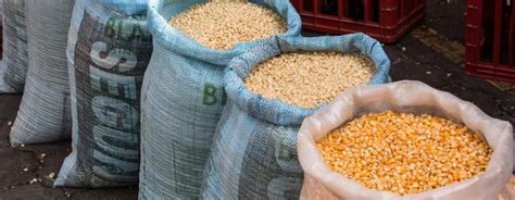 Post-Harvest Handling and Cleaning Procedures for Winter Grains ...