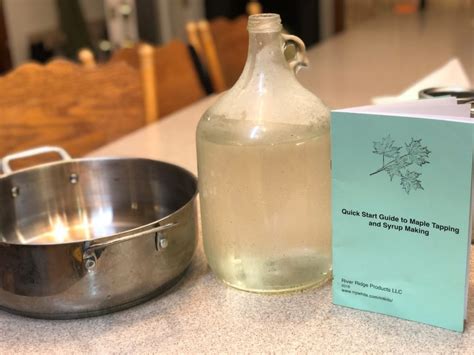 Image result for Extracting Maple Syrup From Trees