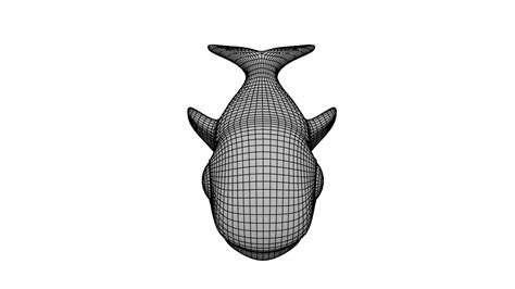 Image result for Whale 3D Tutorial SolidWorks