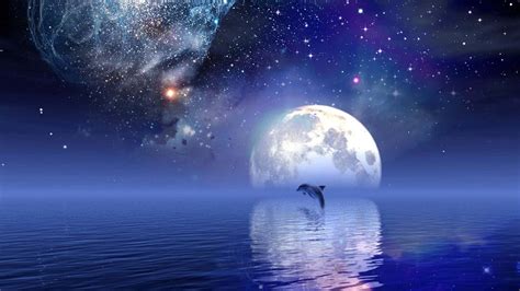 Download Cute Dolphin Full Moon Picture | Wallpapers.com
