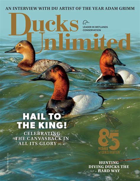Ducks Unlimited on LinkedIn: #ducksunlimited #dumagazine #85yearsofconservation…