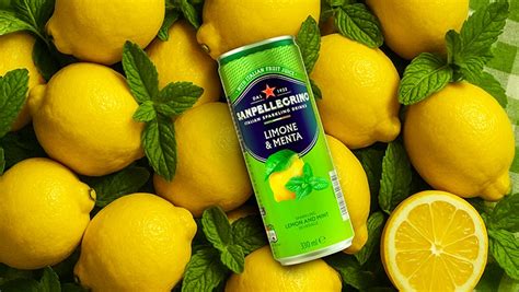 Sparkling Drinks: Fruit Beverages & Mixers | Sanpellegrino