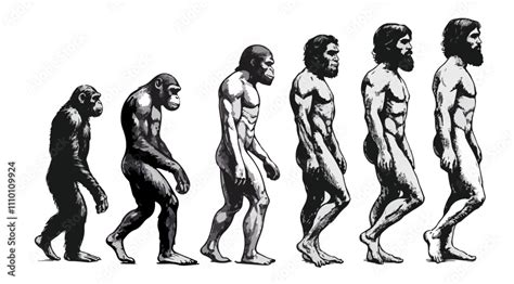 Evolution of Man Vector 的图像结果