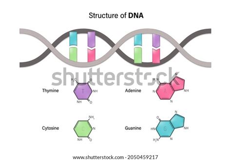 Image result for DNA Microarray Data