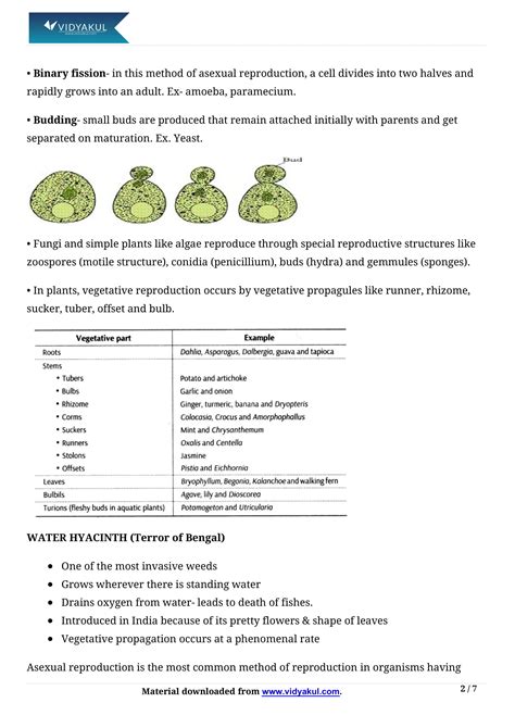 Reproduction in Organism Class 12 Notes | Vidyakul