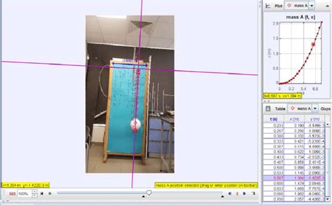 Image Analysis by Tracker Software 的图像结果