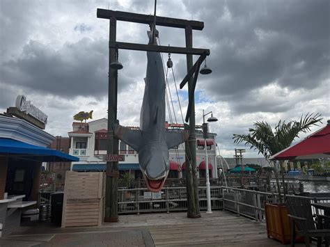 PHOTOS: Amity Returns to Universal Studios Florida for 'Jaws' 50th ...