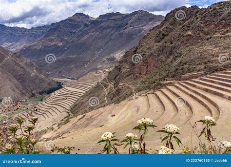 Inca Civilization 的图像结果