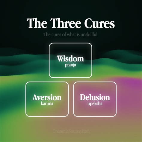 The Three Poisons – Buddhism - Dhamma Source