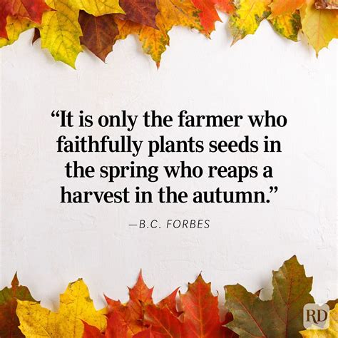 75 Fall Quotes to Share in 2025 | Inspiring Quotes About Fall