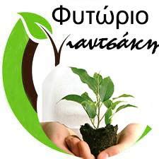 e-evros.gr - Ο Έβρος ηλεκτρονικά - Αλεξανδρούπολη - Σουφλί ...