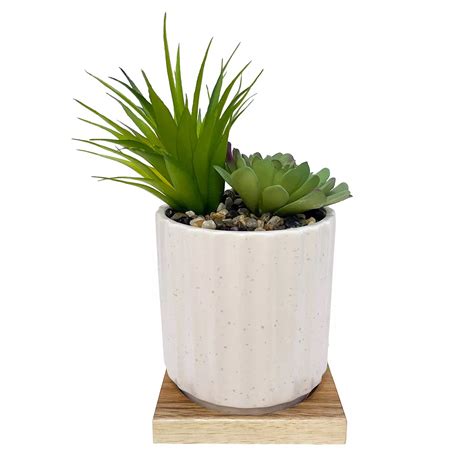 Dwell Studio White Scallop Artificial Plant Table Decor