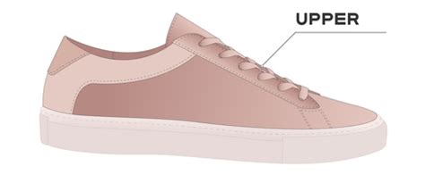 Anatomy of Athletic Shoes – TRUEREVO