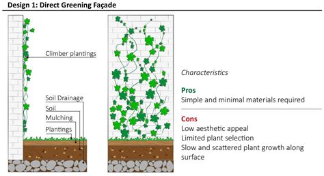 Vertical Greening Systems: A Critical Comparison of Do-It-Yourself Designs