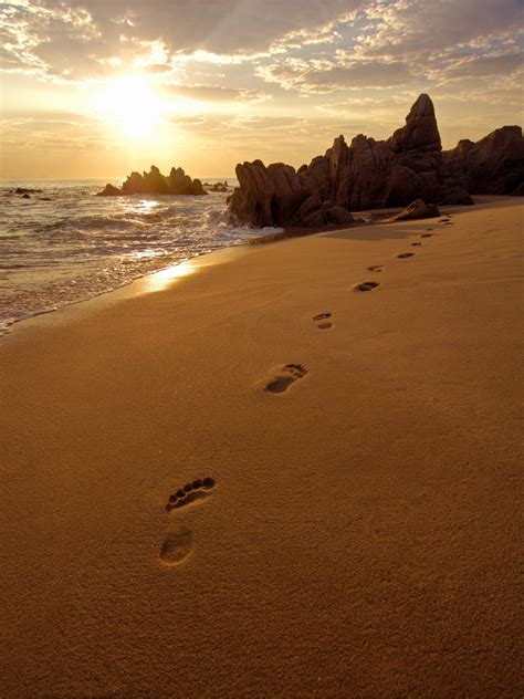 Quotes About Leaving Footprints. QuotesGram