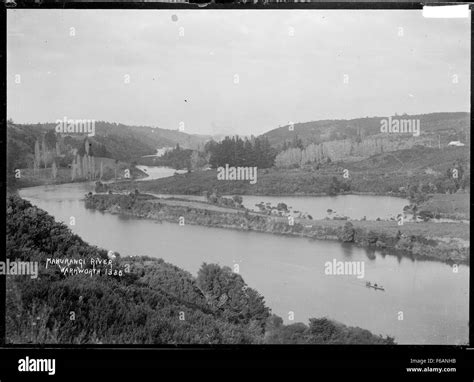 The Mahurangi River, located in the Warkworth area of New Zealand, is known for its scenic ... - ecosystem of new zealand