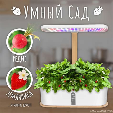Умный сад / Гидропоника / Умный горшок-Big Dream -kg - купить с ...