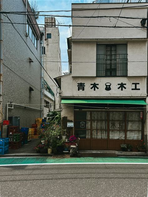 Local Images Download 的图像结果