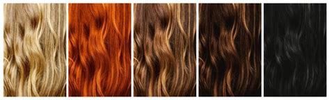 Image result for Color Color Hair