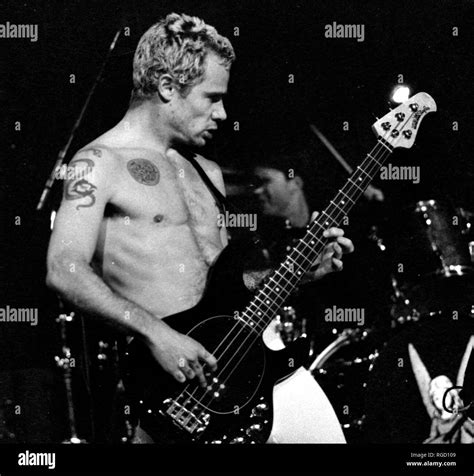 Flea Red Hot Chili Peppers Young