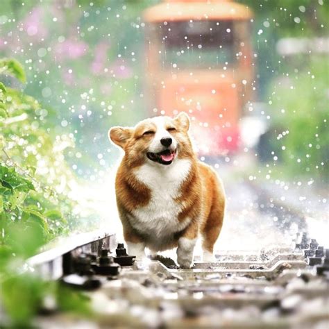 AMBIL SEKARANG