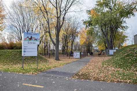 Le parc canin d’Iberville restera ouvert - Le Canada Français