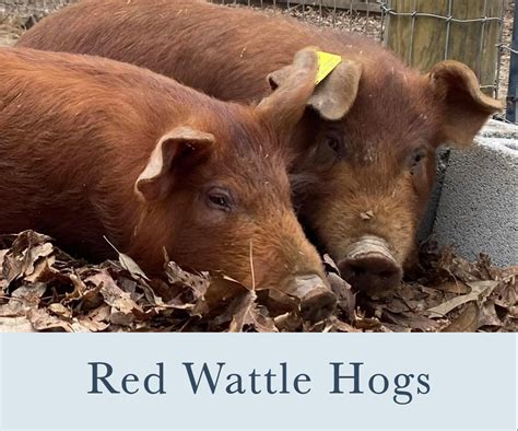 Mountain Heritage Farm located in Woodbury, Tennessee