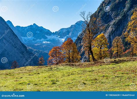 Image result for Simple CNN Example