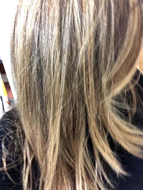 Hair Cuttery » Hair care in Weston FL