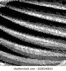 Static Screen 的图像结果