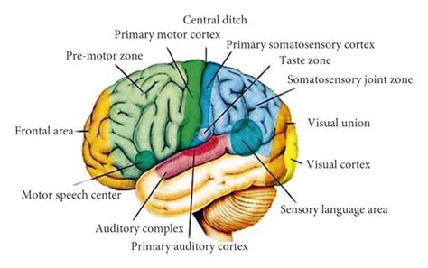 Image result for Cortex-R Vector Table