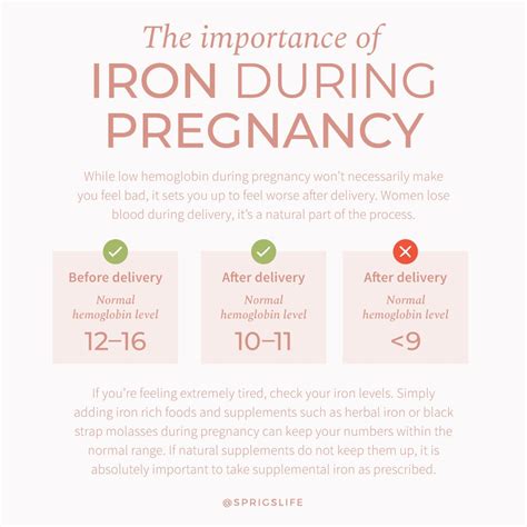 The golden hour after birth and why you should protect it at all costs – Artofit