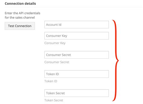 NetSuite API Tutorial 的图像结果