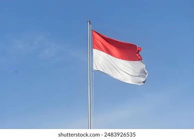 Image result for Text Field Java