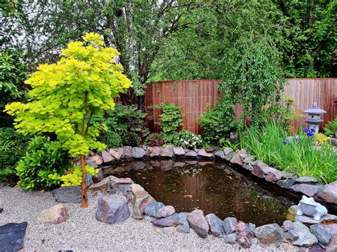 Japanese Water Garden Plants Best Japanese Garden Plants & Flowers For