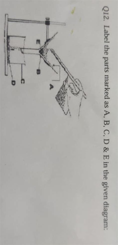 Q12. Label the parts marked as A, B, C, D & E in the given diagram ...