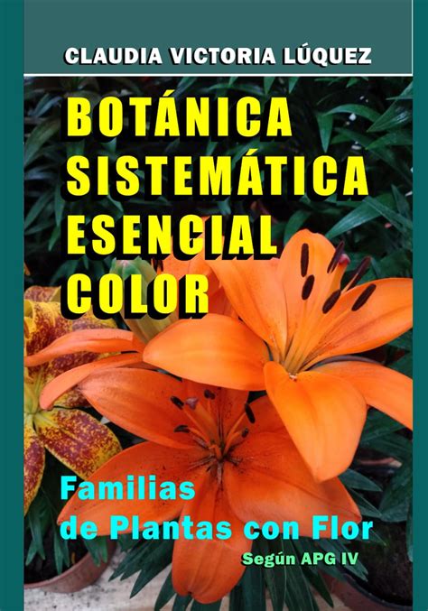Buy Botnica Sistemtica Esencial Color.: Familias de Plantas con Flor ...