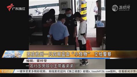 记者直击：节前广州江南市场交通有好转-荔枝网