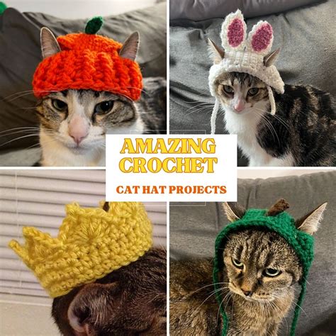 Cat Crochet Beanie