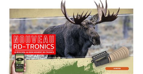 Moose antlers - natural amplifiers and their allies