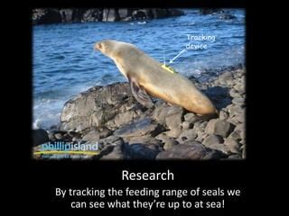 Image result for SQL Recursive with Examples Moving Average