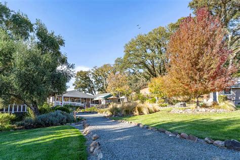 Finding Hope and Healing: Starting a Rehab Journey in the new year ...