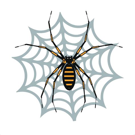 Spider Web Website HTML CSS JavaScript 的图像结果