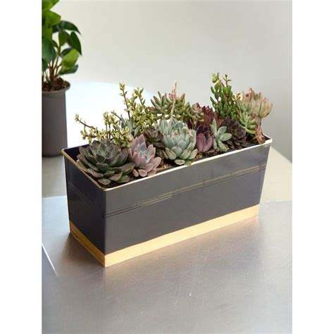 Buy Ecofynd 16 Inches Black Rectangular Metal Plant Pot Online