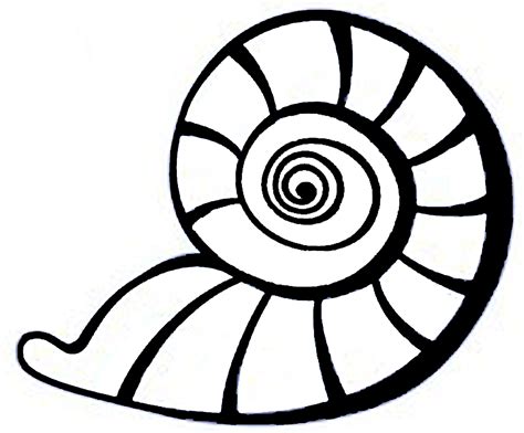 Seashell Clip Art Black And White